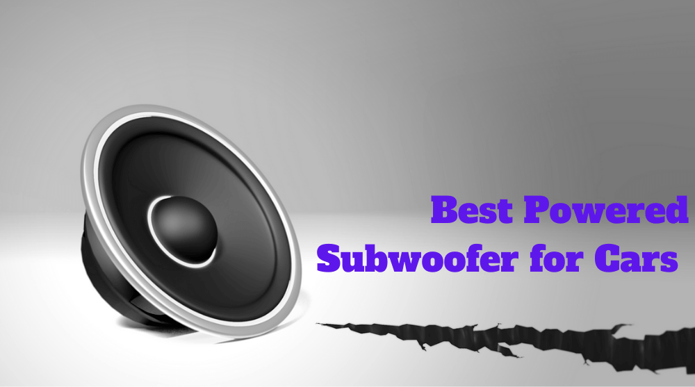 Best Powered Subwoofer for Cars